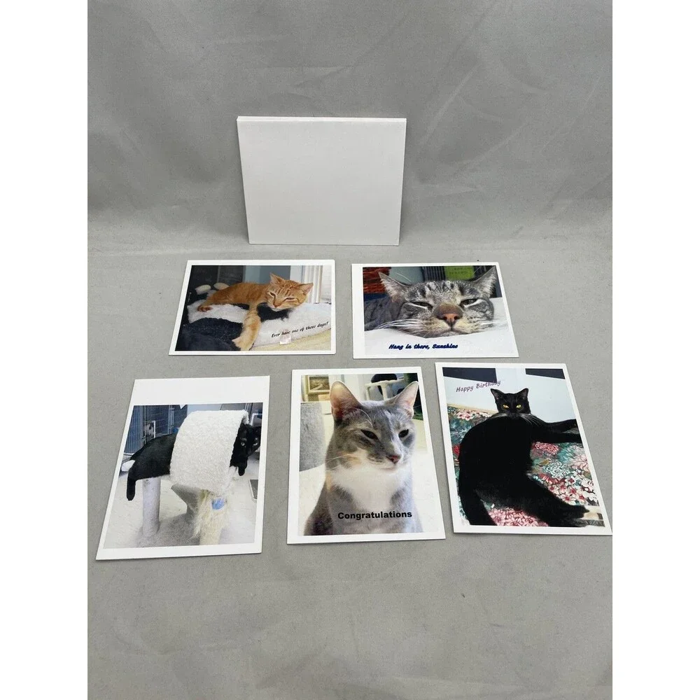 Cat Greeting Cards Envelopes Lydias Fancy Felines Evelyn McDonald Set of 5